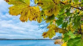 Późno jesienne klimaty gdy wieje i chłód doskwiera przy jeziorze Dargin - zdjęcie 13