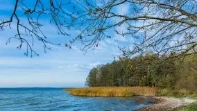 Późno jesienne klimaty gdy wieje i chłód doskwiera przy jeziorze Dargin - zdjęcie 6