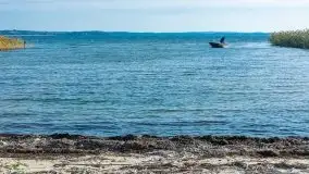 Późno jesienne klimaty gdy wieje i chłód doskwiera przy jeziorze Dargin - zdjęcie 24