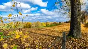 Piękna mazurska złota jesień, listopad 2019 - zdjęcie 26