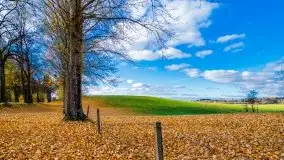 Piękna mazurska złota jesień, listopad 2019 - zdjęcie 20