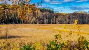 Piękna mazurska złota jesień, listopad 2019 - zdjęcie 50