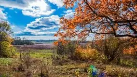 Piękna mazurska złota jesień, listopad 2019 - zdjęcie 7