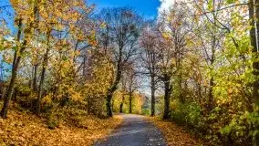 Piękna mazurska złota jesień, listopad 2019 - zdjęcie 9