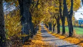 Piękna mazurska złota jesień, listopad 2019 - zdjęcie 41