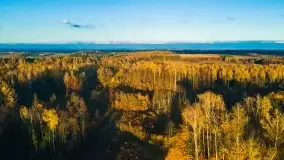 Mazurska jesień z lotu mewy, listopad 2020 r. - zdjęcie 12