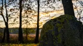 Jesień w okolicach jeziora Okrągłe, listopad 2020 - zdjęcie 6