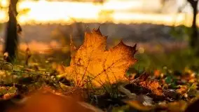 Jesień w okolicach jeziora Okrągłe, listopad 2020 - zdjęcie 5