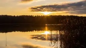 Jesień w okolicach jeziora Okrągłe, listopad 2020 - zdjęcie 22