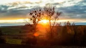 Jesień w okolicach jeziora Okrągłe, listopad 2020 - zdjęcie 27