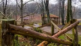 Las miejski w Giżycku, listopad 2020 r. - zdjęcie 4