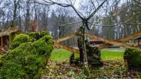 Las miejski w Giżycku, listopad 2020 r. - zdjęcie 12