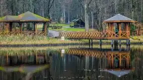 Las miejski w Giżycku, listopad 2020 r. - zdjęcie 21