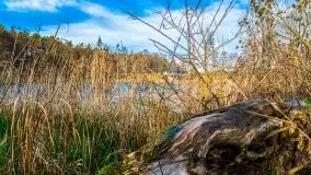 Jesienne Mazury, okolice jezior Niegocin i wojnowo - zdjęcie 18