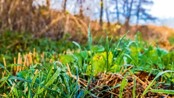 Jesienne Mazury, okolice jezior Niegocin i wojnowo - zdjęcie 5
