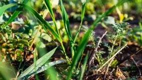 Jesienne Mazury, okolice jezior Niegocin i wojnowo - zdjęcie 3