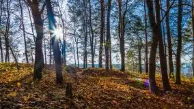 Jesienne Mazury, okolice jezior Niegocin i wojnowo - zdjęcie 4