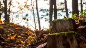 Jesienne Mazury, okolice jezior Niegocin i wojnowo - zdjęcie 16