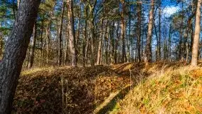 Jesienne Mazury, okolice jezior Niegocin i wojnowo - zdjęcie 12