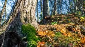 Jesienne Mazury, okolice jezior Niegocin i wojnowo - zdjęcie 30