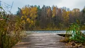 Jesienne Mazury na zdjęciach Staszka Sielewicza - zdjęcie 14