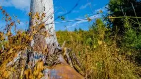 Jesienne Mazury na zdjęciach Staszka Sielewicza - zdjęcie 10