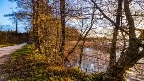 Zachód słońca i resztki jesieni nad jeziorem Ołów - zdjęcie 34