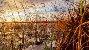 Zachód słońca i resztki jesieni nad jeziorem Ołów - zdjęcie 28