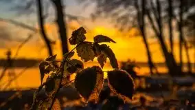 Pierwszy śnieg i wschód słońca nad jeziorem Boczne - zdjęcie 91