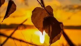 Pierwszy śnieg i wschód słońca nad jeziorem Boczne - zdjęcie 107