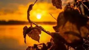 Pierwszy śnieg i wschód słońca nad jeziorem Boczne - zdjęcie 103