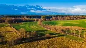 Jesień z lotu ptaka przy jeziorze Tałtowisko i kanale Grunwaldzkim - zdjęcie 29