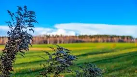 Listopadowe klimaty na bezdrożach Mazur - zdjęcie 36