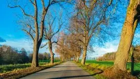 Listopadowe klimaty na bezdrożach Mazur - zdjęcie 32