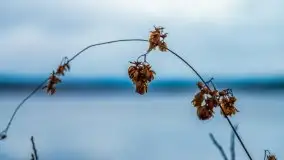 Miał być zachód słońca, a skończyło się na ognisku - zdjęcie 11