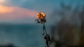 Wschód słońca przy moście Sztynorckim i jeziorze Dargin - zdjęcie 25