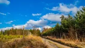 Krutynia i Nowy Mostek w grudniowych zdjęciach - zdjęcie 32