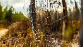 Krutynia i Nowy Mostek w grudniowych zdjęciach - zdjęcie 9