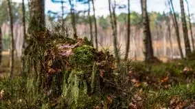 Krutynia i Nowy Mostek w grudniowych zdjęciach - zdjęcie 34