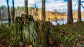 Krutynia i Nowy Mostek w grudniowych zdjęciach - zdjęcie 22