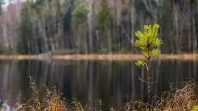 Krutynia i Nowy Mostek w grudniowych zdjęciach - zdjęcie 41