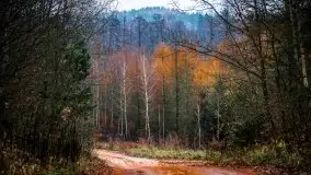 Grudniowe Mazury na zdjęciach Stanisława Sielewicza - zdjęcie 3