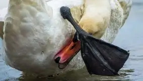 Grudniowe Mazury na zdjęciach Stanisława Sielewicza - zdjęcie 25