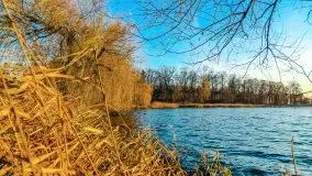 Grudniowy zachód słońca w Kętrzynie, 2020 - zdjęcie 24