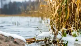 Zimowe i pochmurne kolory Mazur w okolicach Kruklanek - zdjęcie 12
