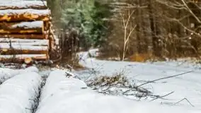 Zimowe i pochmurne kolory Mazur w okolicach Kruklanek - zdjęcie 66