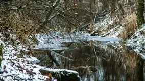 Zimowe i pochmurne kolory Mazur w okolicach Kruklanek - zdjęcie 40