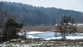 Zimowe i pochmurne kolory Mazur w okolicach Kruklanek - zdjęcie 71