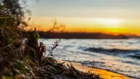 Wschód słońca nad jeziorem Gołdopiwo - zdjęcie 3