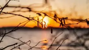 Wschód słońca nad jeziorem Gołdopiwo - zdjęcie 39